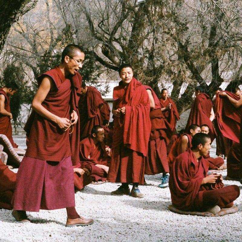 moins tibétains assis et debout habillé en rouge avec des arbres en fond
