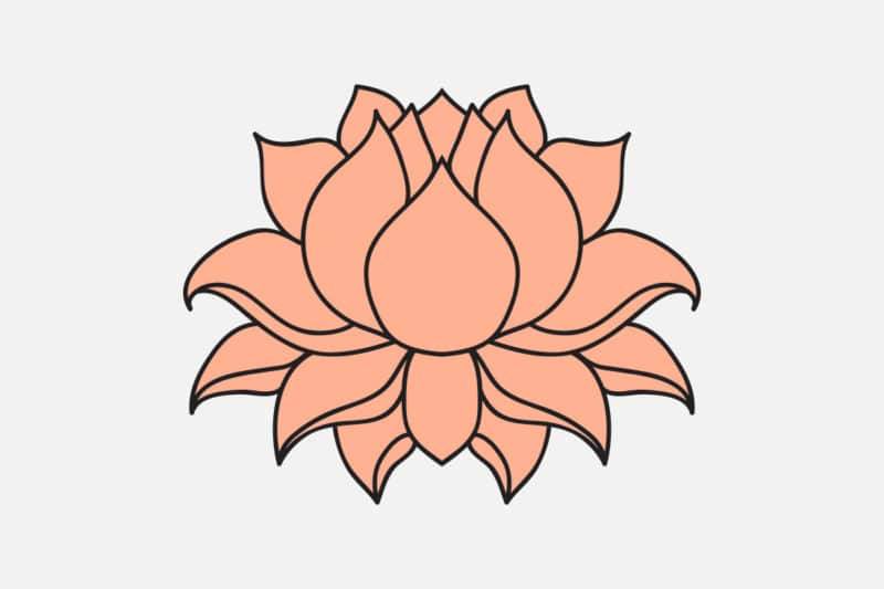 Fleur de lotus symbole bouddhiste