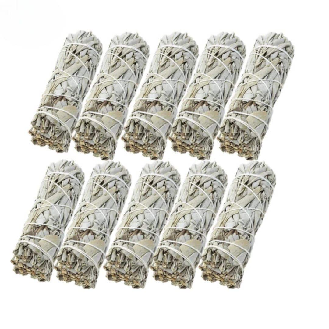 Lot de Dix Batons de Sauge sur fond blanc